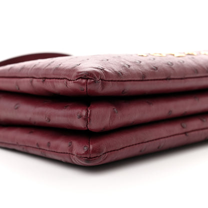 Louis Vuitton Ostrich Coussin BB Bordeaux 8 of 10