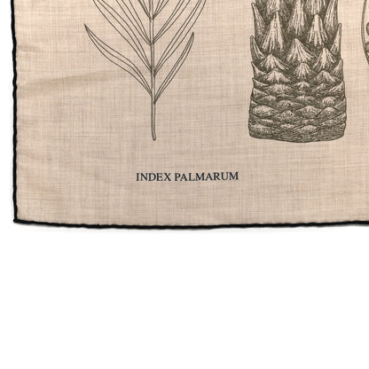 Hermes Cashmere Silk Index Palmarum Finesse Shawl 140 Naturel Bleu 3 of 6