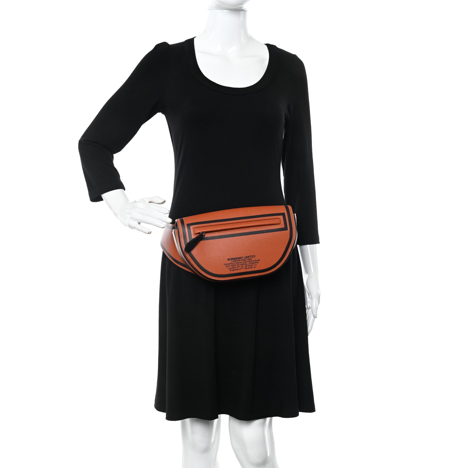 Burberry Calfskin Logo Small Olympia Bum Bag Earthy Orange 2 of 9