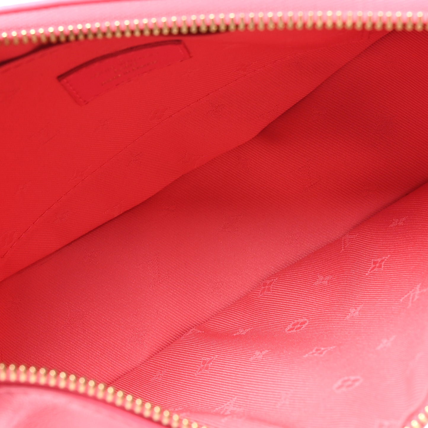 Calfskin Bubblegram Over The Moon Dragon Fruit