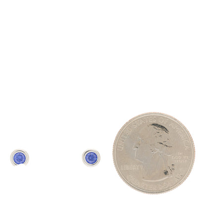 Tiffany Sterling Silver Tanzanite Color By The Yard Earrings 2 of 5