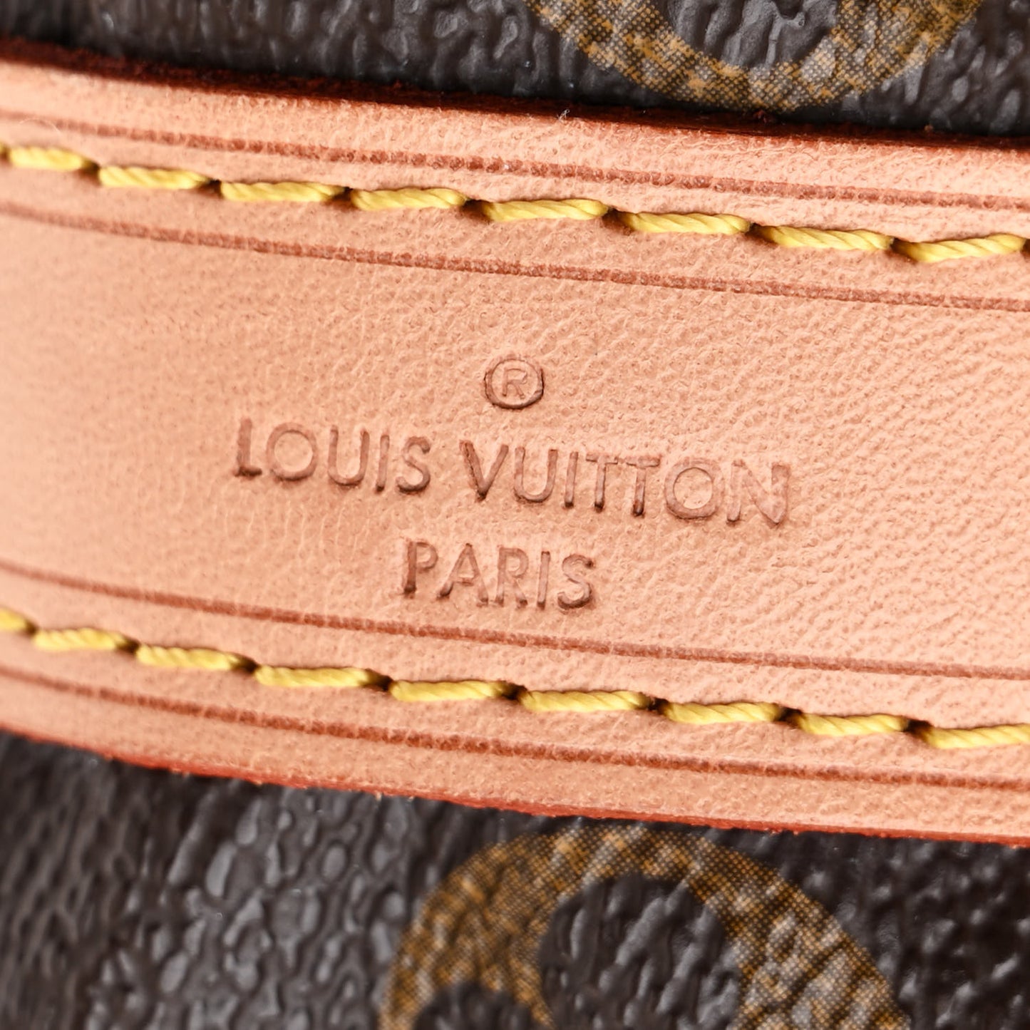 Monogram Petit Noe