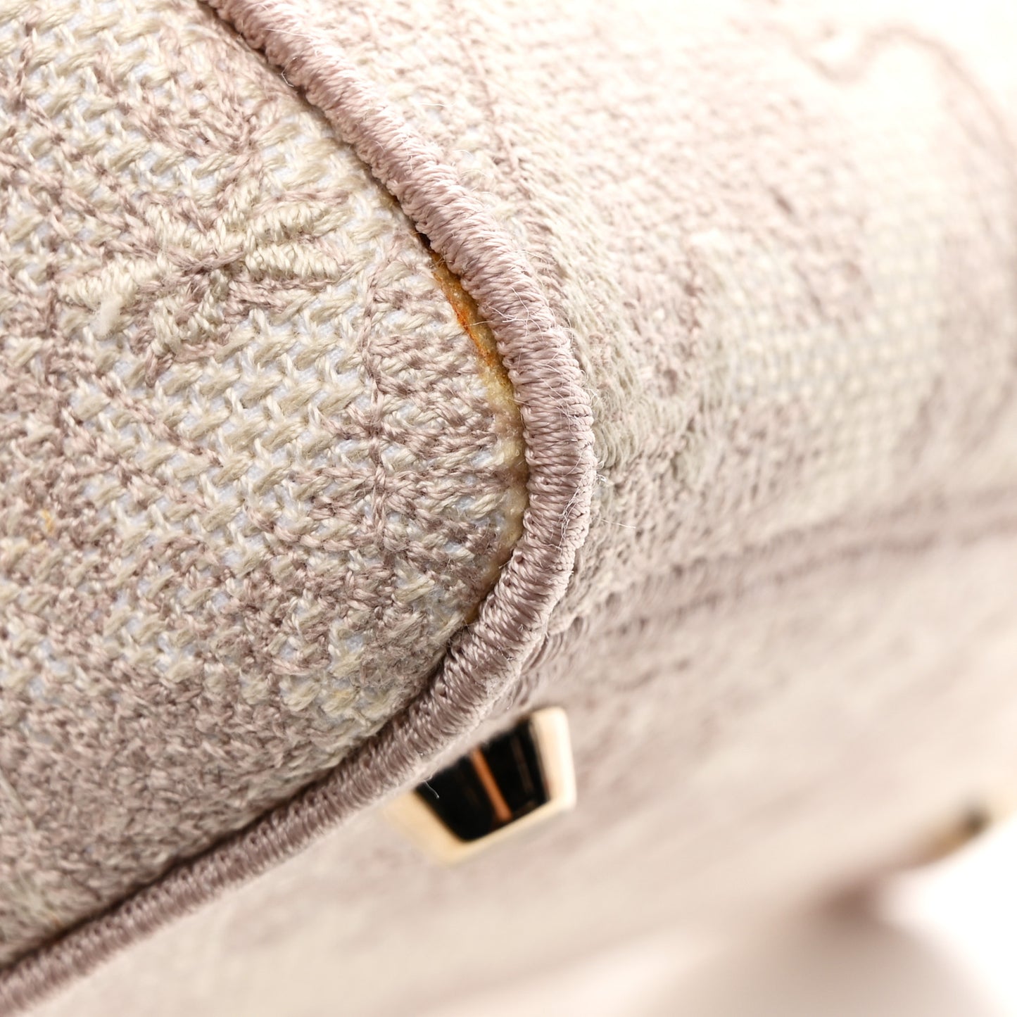 Canvas Toile De Jouy Reverse Embroidered Medium Lady D-Lite Rose