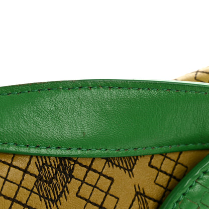 Bottega Veneta Lambskin Snakeskin Irish Madras Intrecciato Rialto Shoulder Bag Brown Green Multicolor 11 of 14