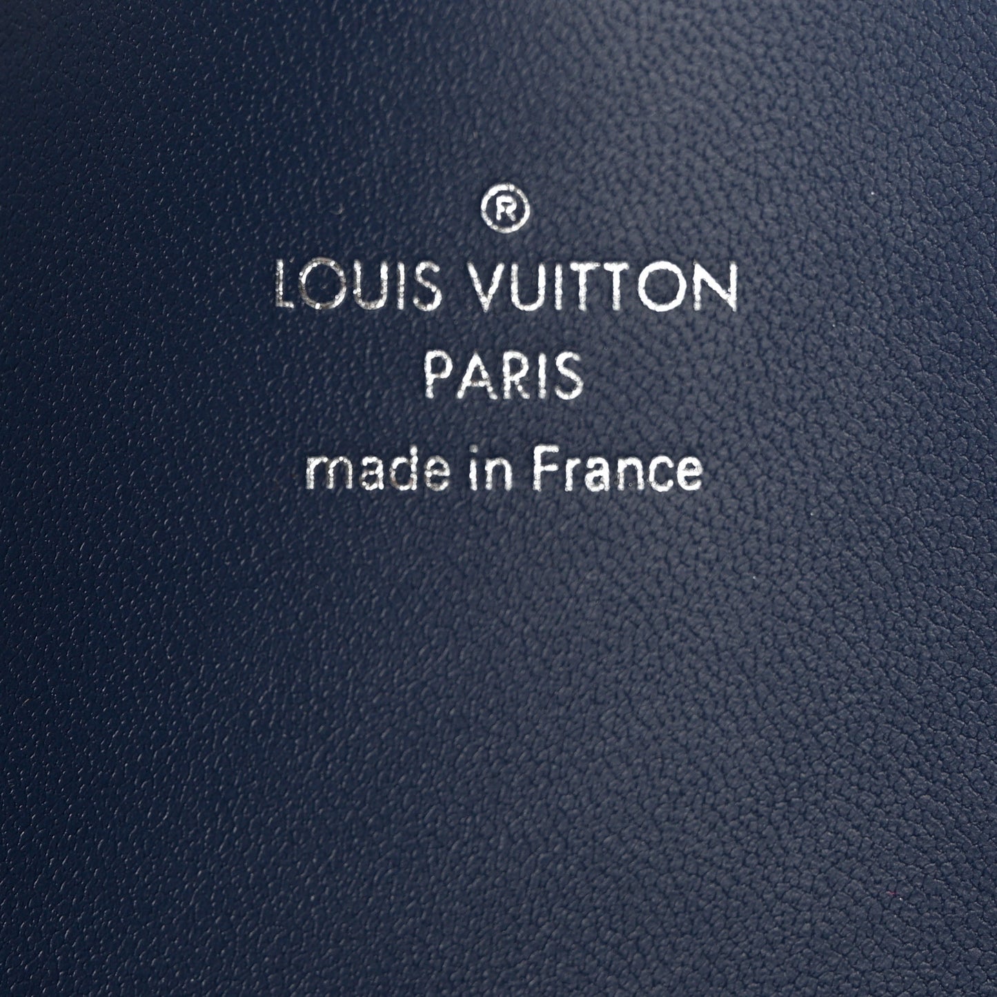 Monogram Escale Medium Kirigami Pochette Insert Blue
