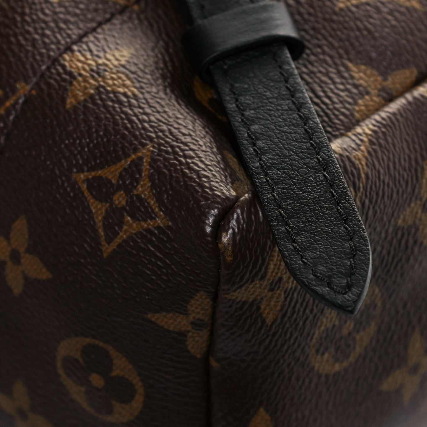 Reverse Monogram Palm Springs Backpack PM