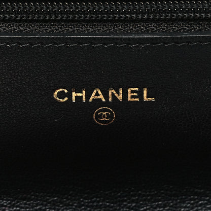 Chanel Lambskin Quilted Chanel 19 Wallet On Chain WOC Black 6 of 12