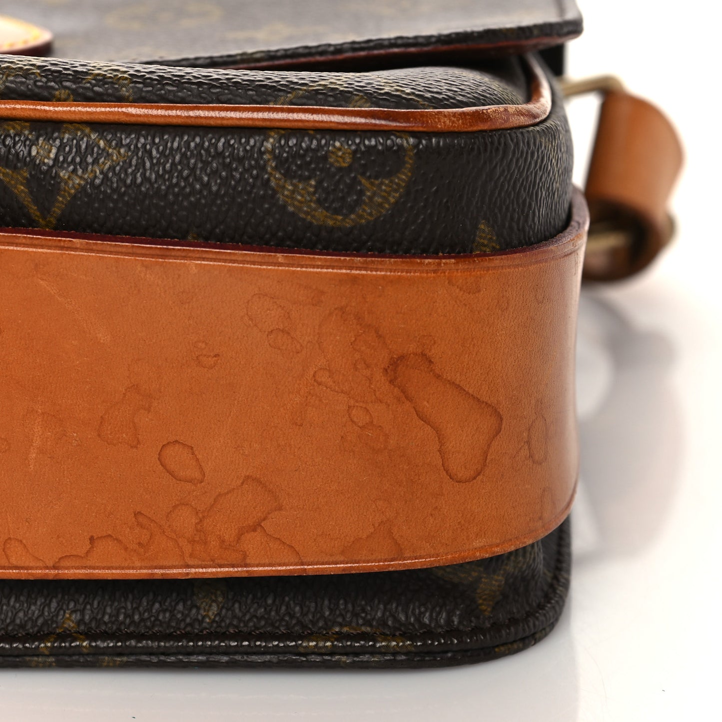 Monogram Cartouchiere 22