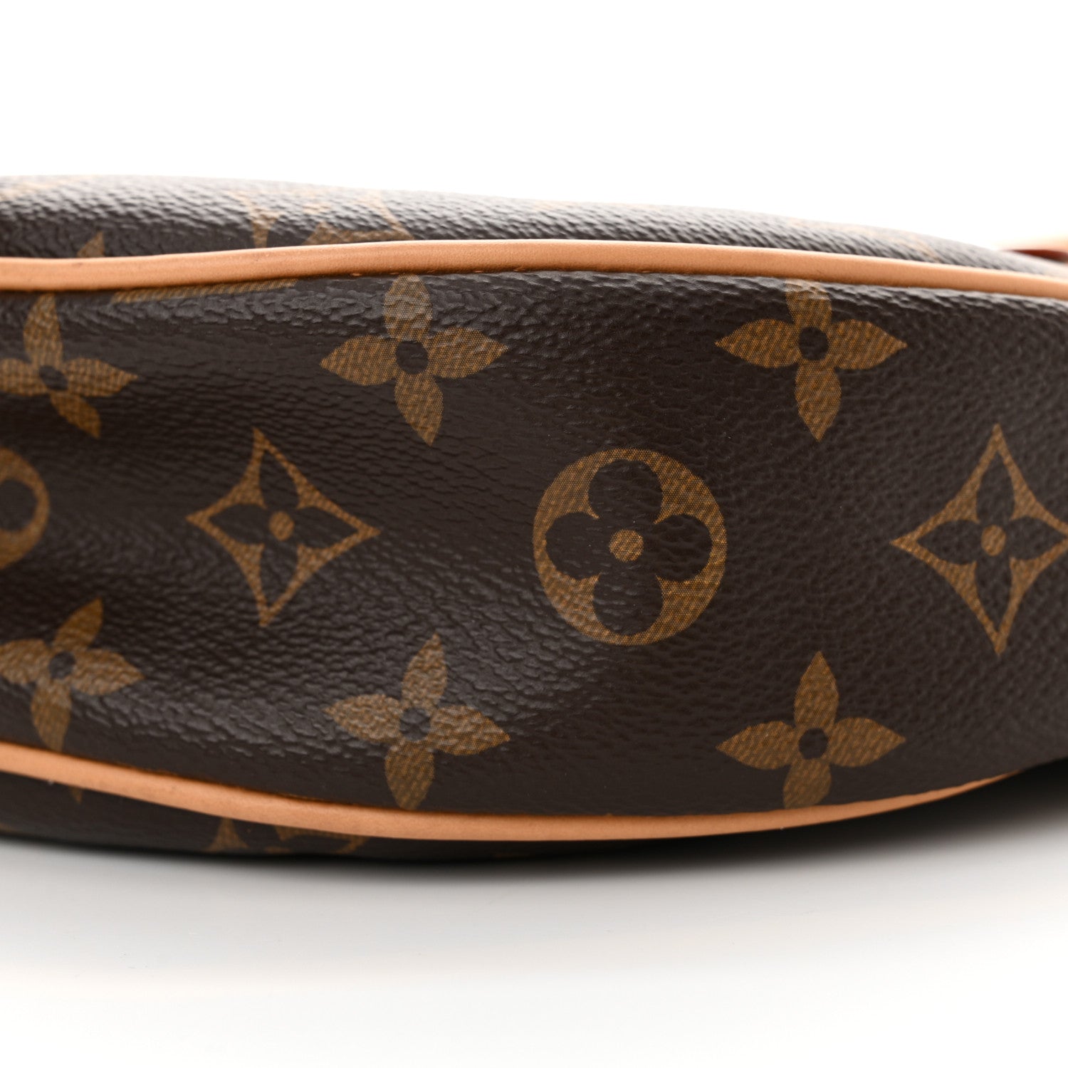 Louis Vuitton Monogram Loop 9 of 9