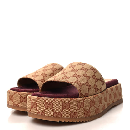 Gucci Canvas GG Monogram Angelina Platform Slide Sandals 42 Beige Ruggine 3 of 9