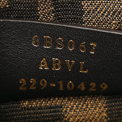 Fendi Vitello King Plexiglass Logo Embossed Mini By The Way Top Handle Boston Bag Tortora 7 of 12