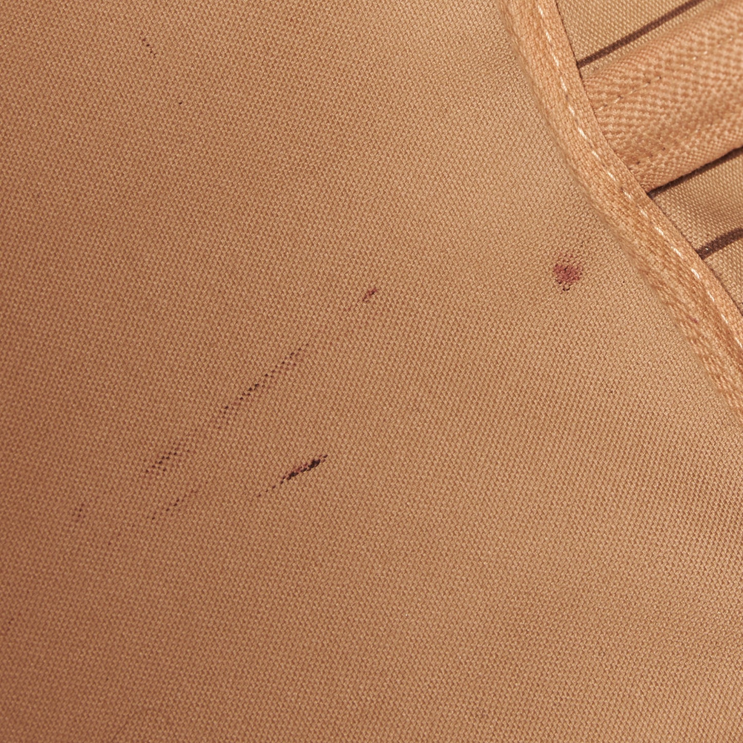 Monogram Neverfull GM