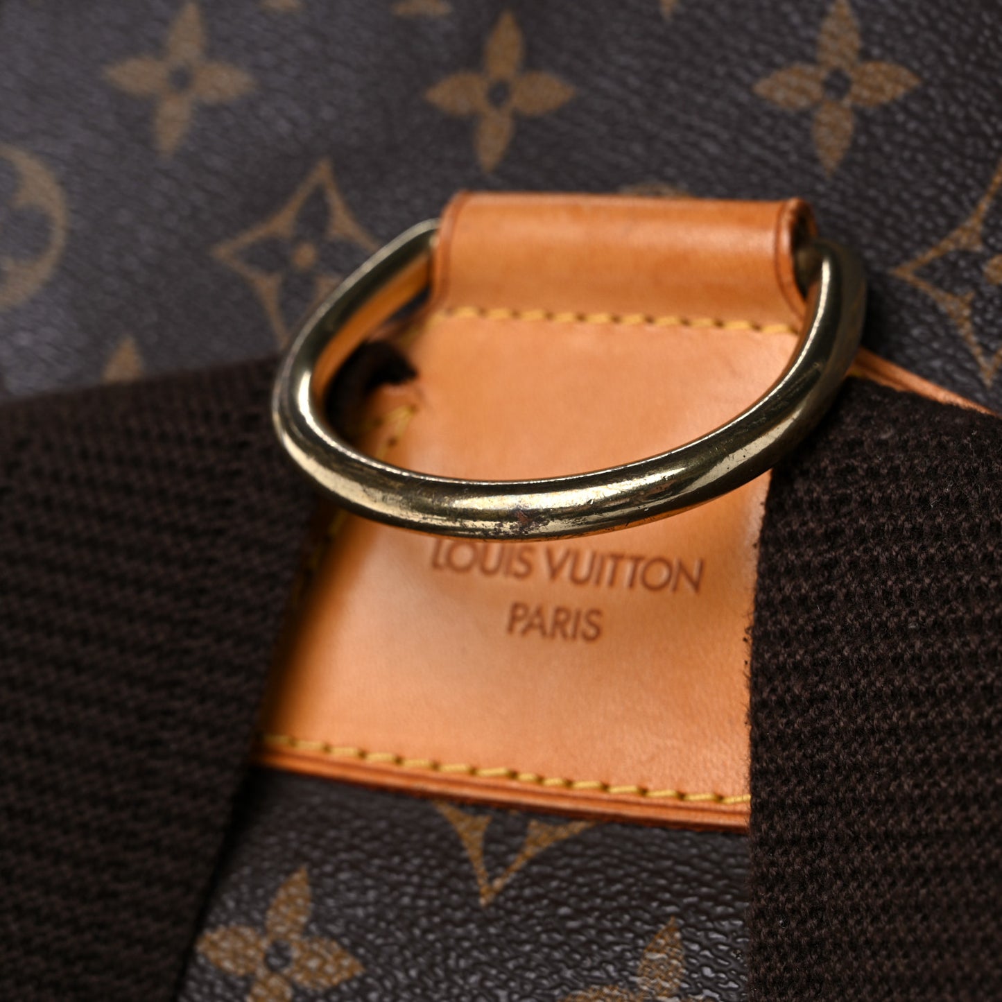 Monogram Montsouris GM Backpack
