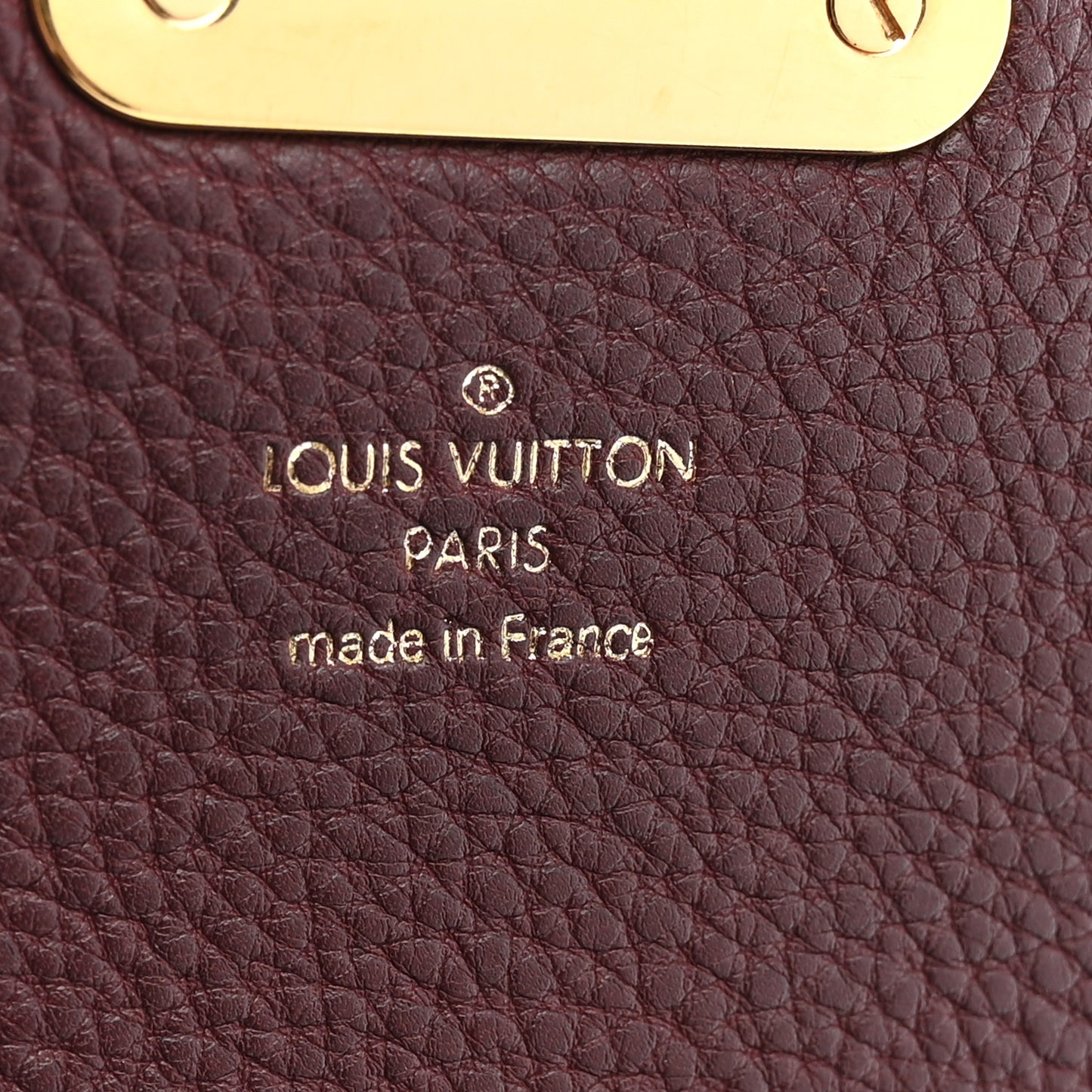 Monogram Eden MM Camel