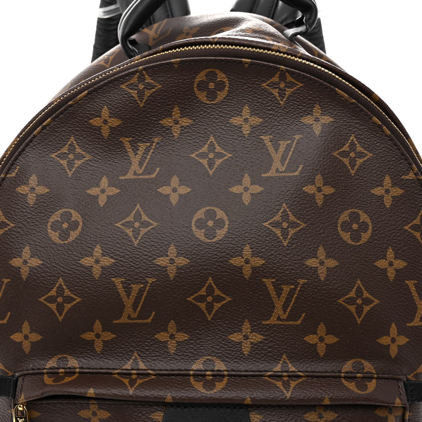 Monogram Palm Springs Backpack MM