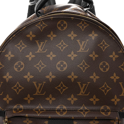 Louis Vuitton Monogram Palm Springs Backpack MM 8 of 11