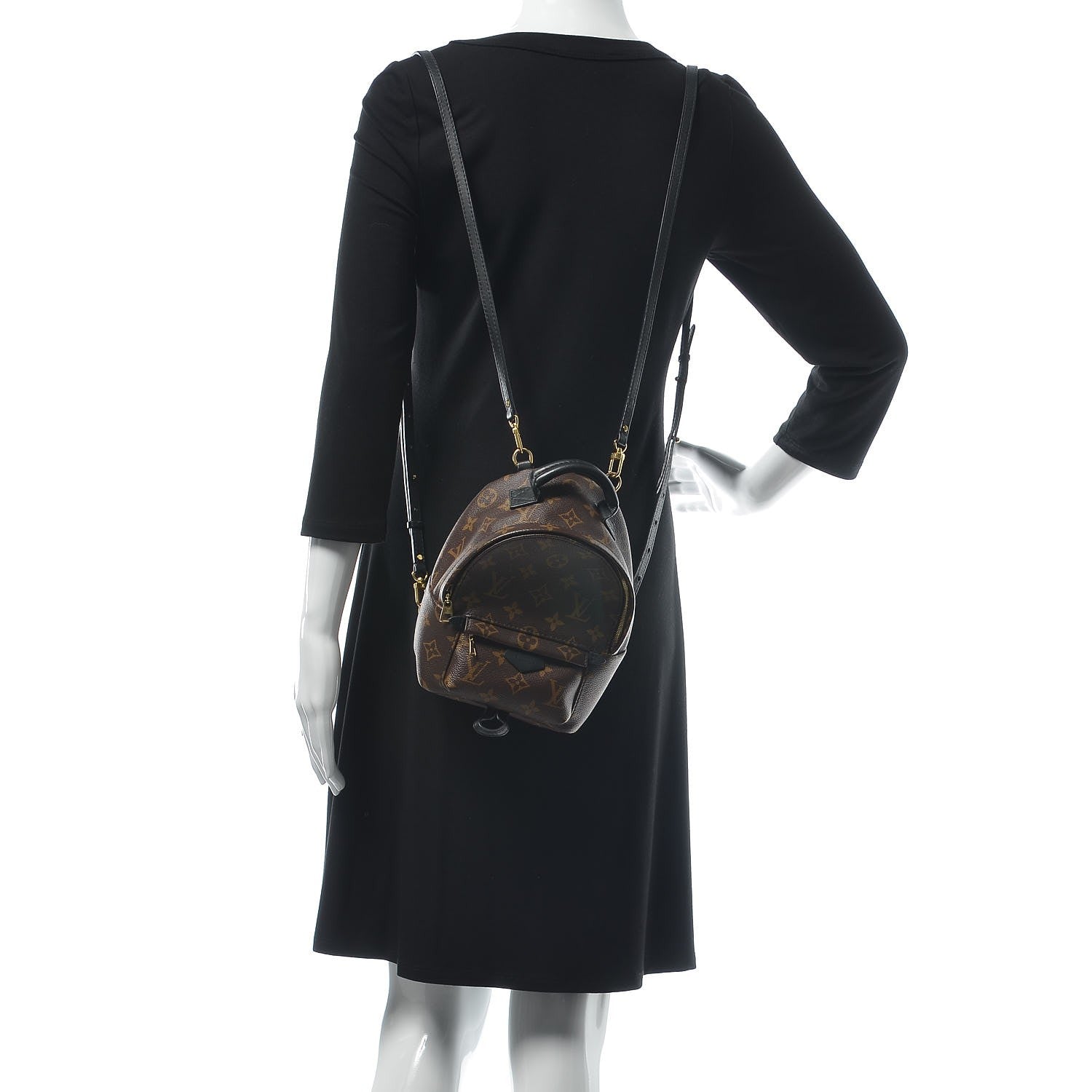 Louis Vuitton Monogram Palm Springs Backpack Mini 2 of 8