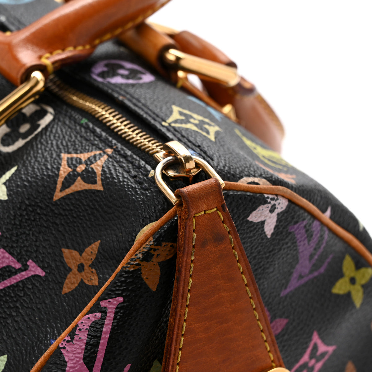 Monogram Multicolor Speedy 30 Black