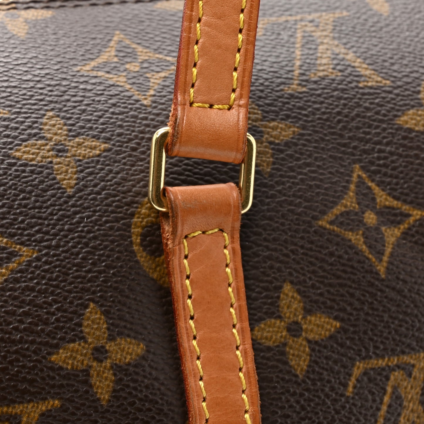 Monogram Papillon 30 with Companion