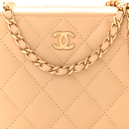 Chanel Lambskin Quilted CC Pearl Crush Camera Case Beige 8 of 11