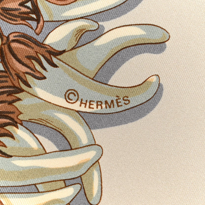 Hermes Silk Aux Pays Des Epices Scarf 90 4 of 7