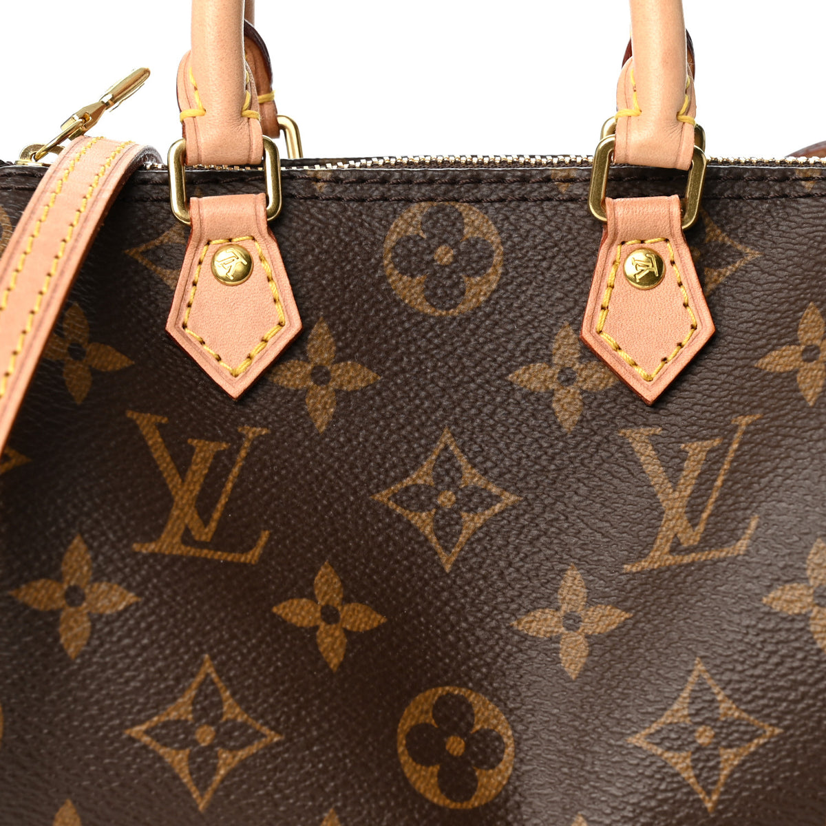 Monogram Nano Speedy