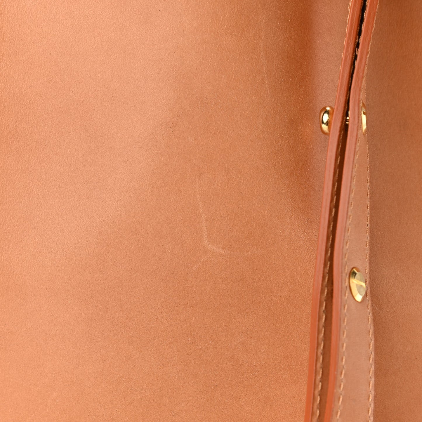 Vegetable Tanned Calfskin Bucket Bag Cammello Azzurro