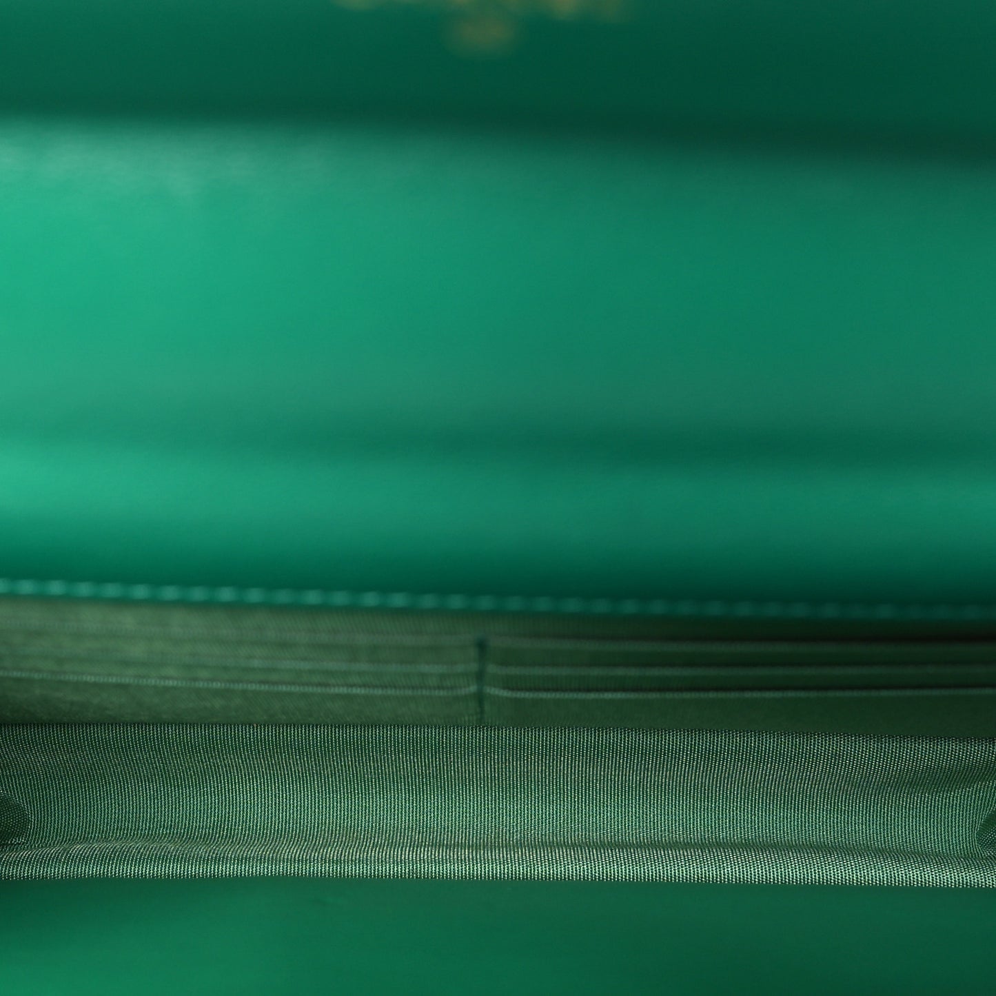 Lambskin Quilted Chanel 19 Wallet On Chain WOC Green