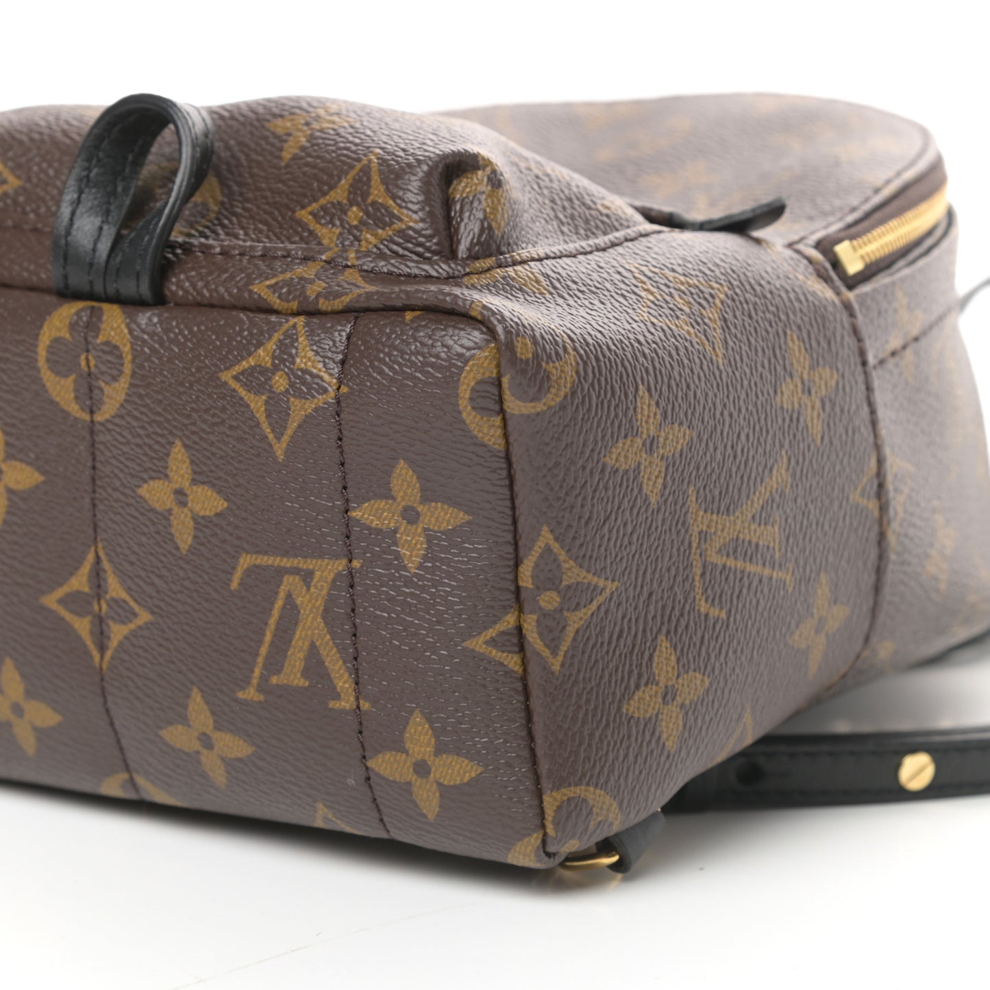 Monogram Palm Springs Backpack Mini