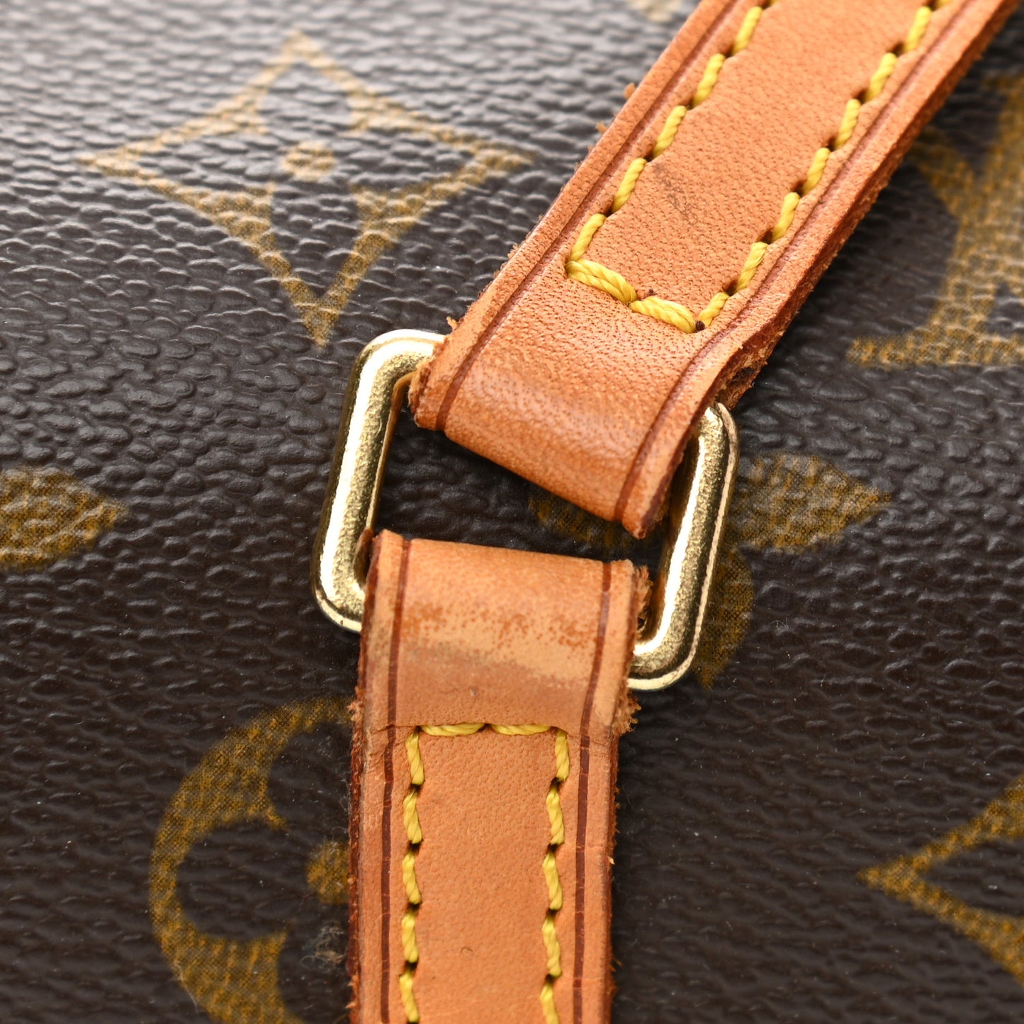 Monogram Papillon 26