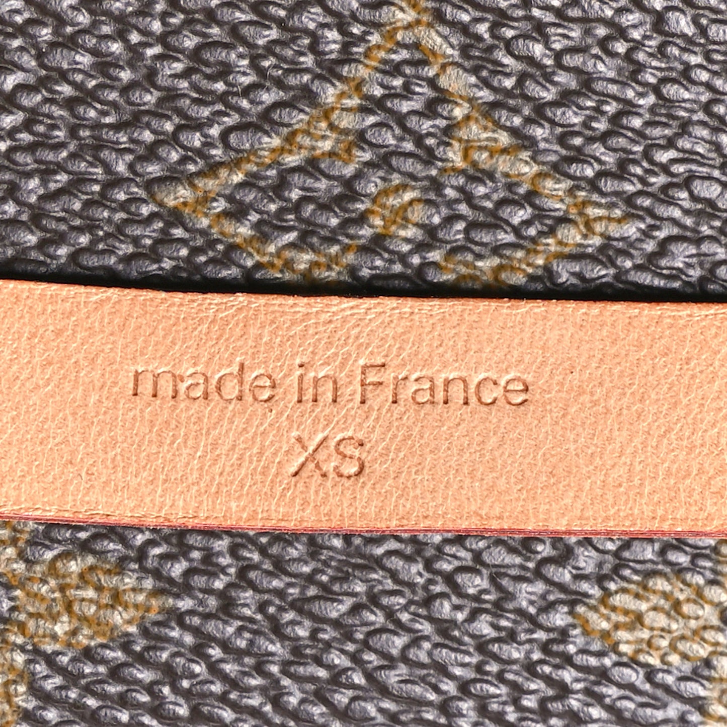 Monogram Pochette Florentine XS
