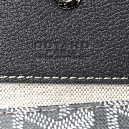 Goyard Goyardine Saint Louis PM Grey 6 of 9