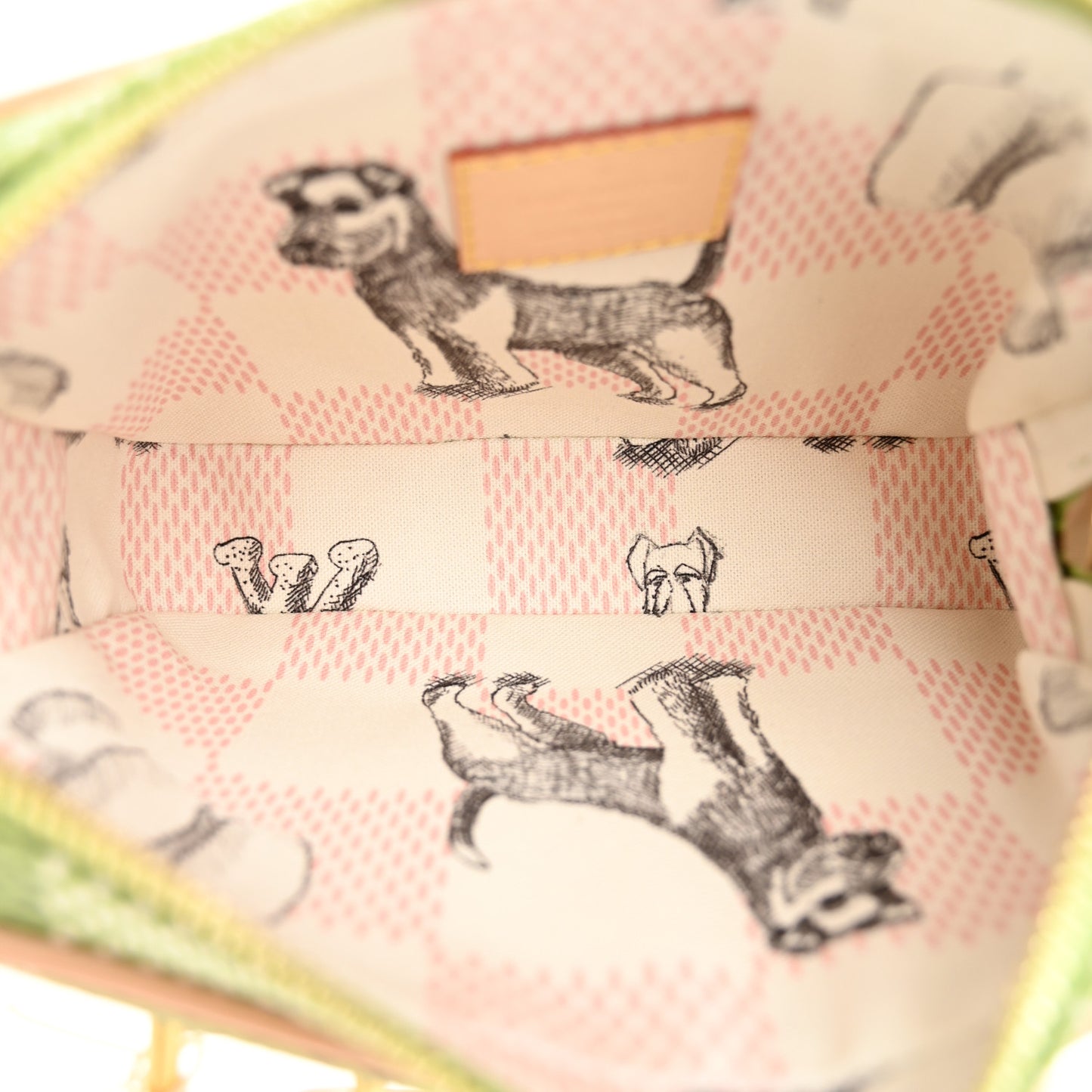 Damier Golf Nano Porte Documents Voyage Green