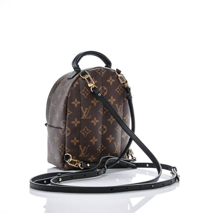 Louis Vuitton Monogram Palm Springs Backpack Mini 3 of 6