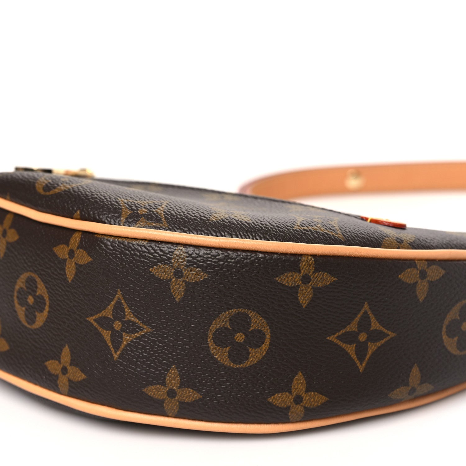 Louis Vuitton Monogram Loop 9 of 9