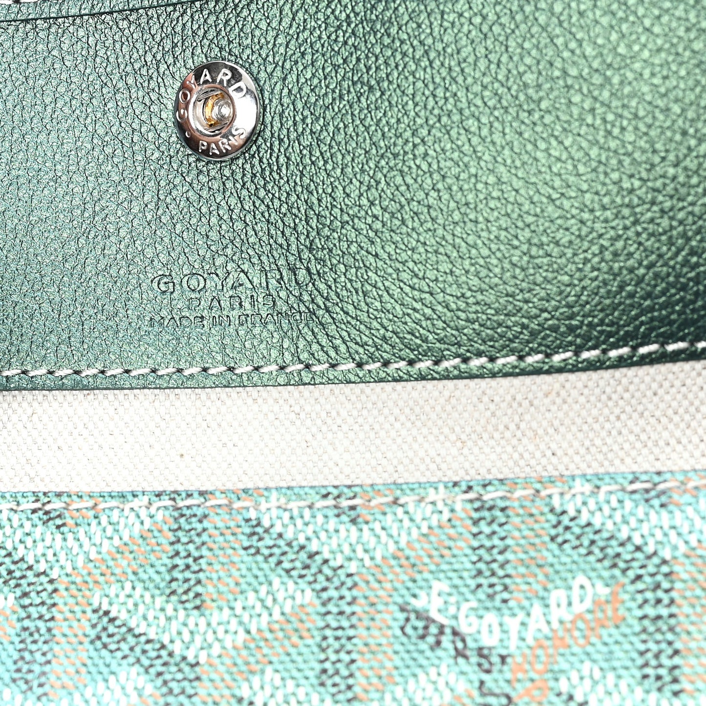 Iridescent Goyardine Boheme Hobo Pearly Green