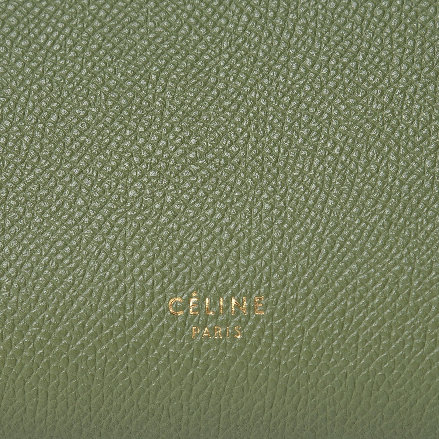 Grained Calfskin Nano Belt Bag Olive