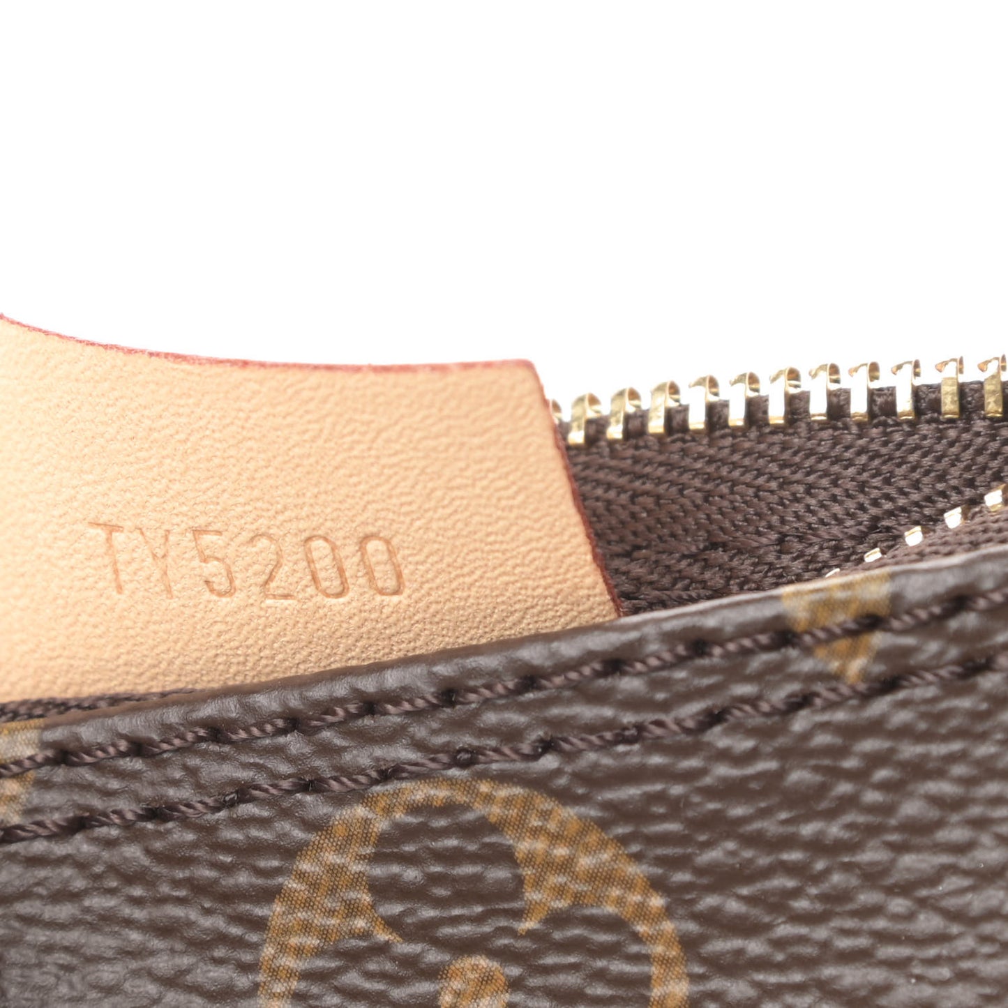 Monogram Nano Speedy