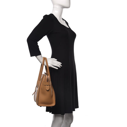 Celine Drummed Calfskin Micro Luggage Cumin 2 of 9