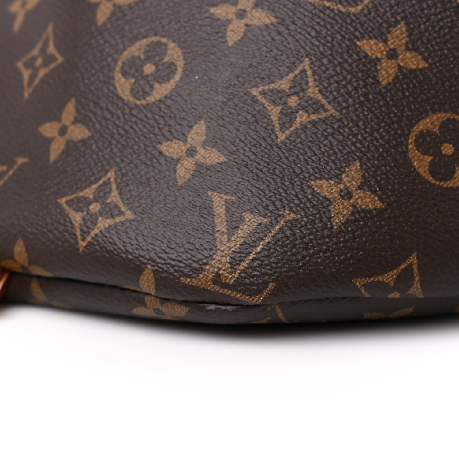 Louis Vuitton Monogram Bumbag 9 of 11