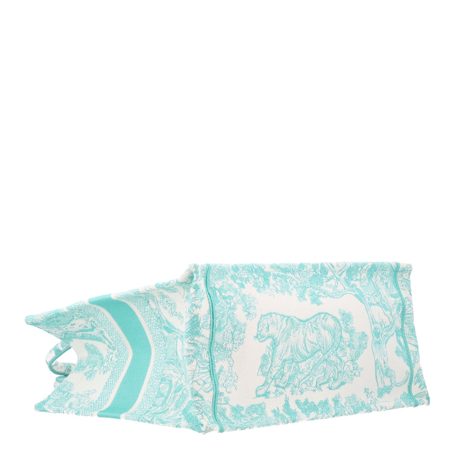 Canvas Embroidered Medium Dioriviera Toile De Jouy Book Tote Aquamarina