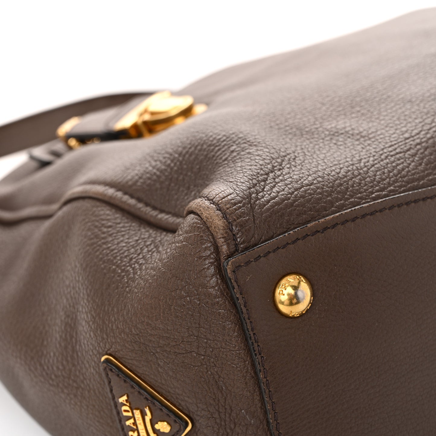 Cervo Hobo Pietra