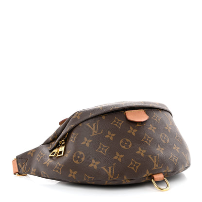 Louis Vuitton Monogram Bumbag 4 of 11
