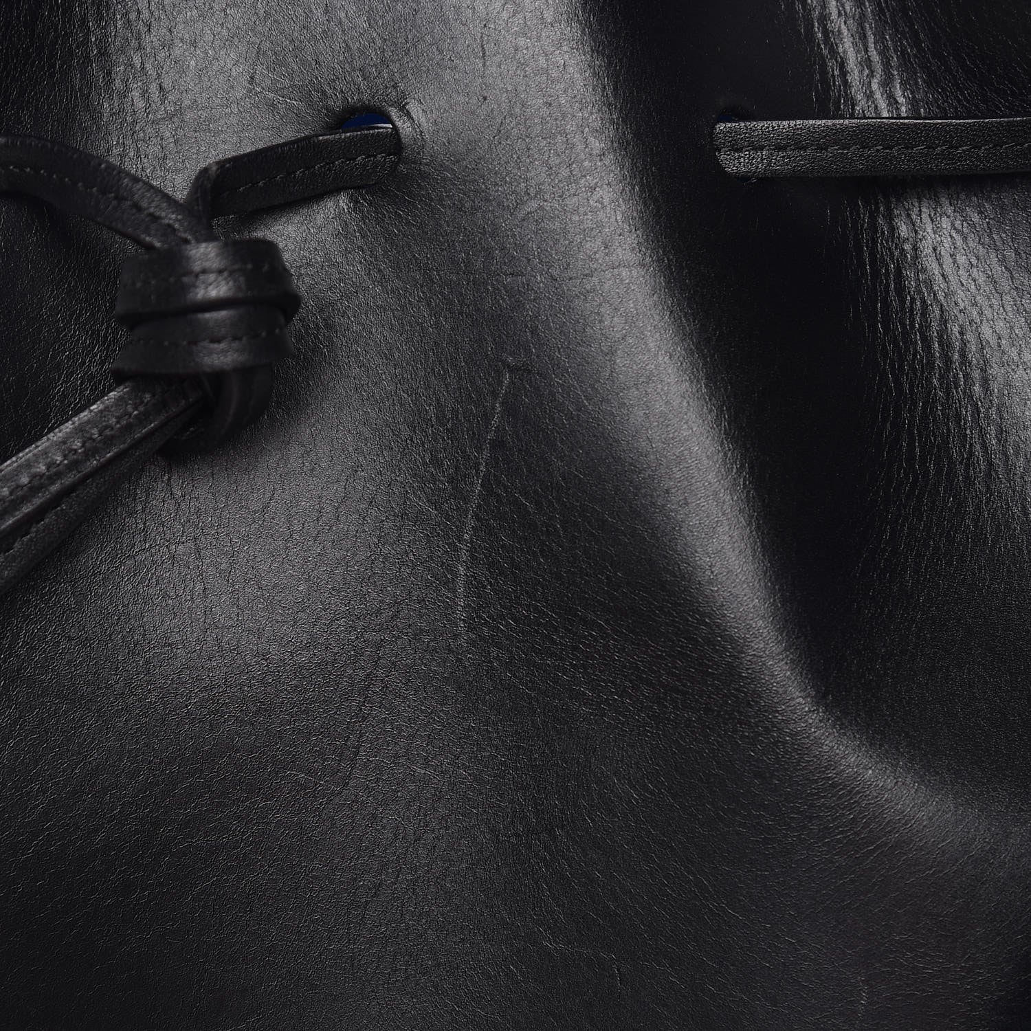 Mansur Gavriel Vegetable Tanned Calfskin Bucket Bag Black Royal 13 of 13