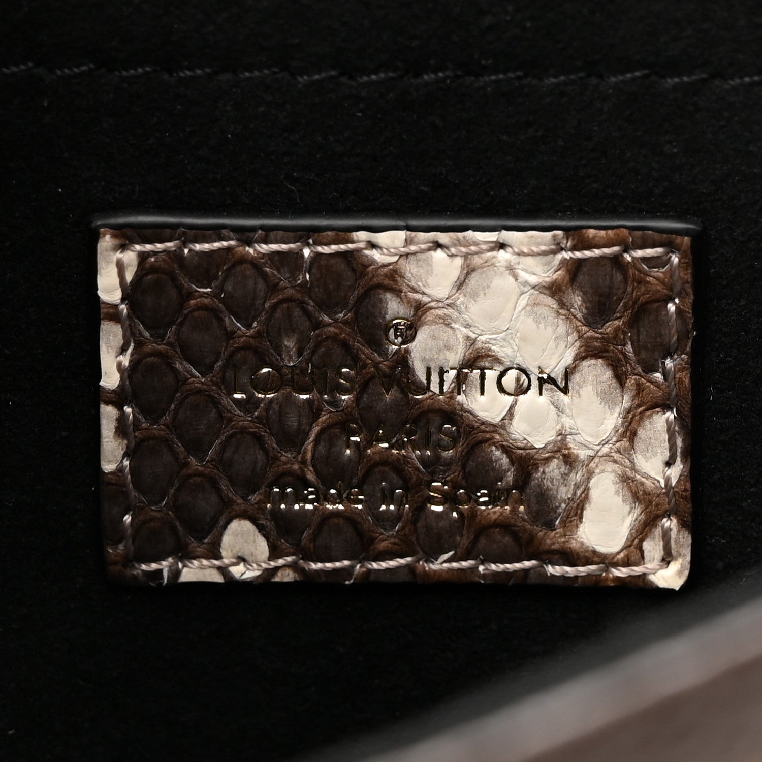 Louis Vuitton Monogram Snakeskin Saint Placide 6 of 9