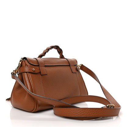 Mulberry Heavy Grain Mini Alexa Chestnut 3 of 8