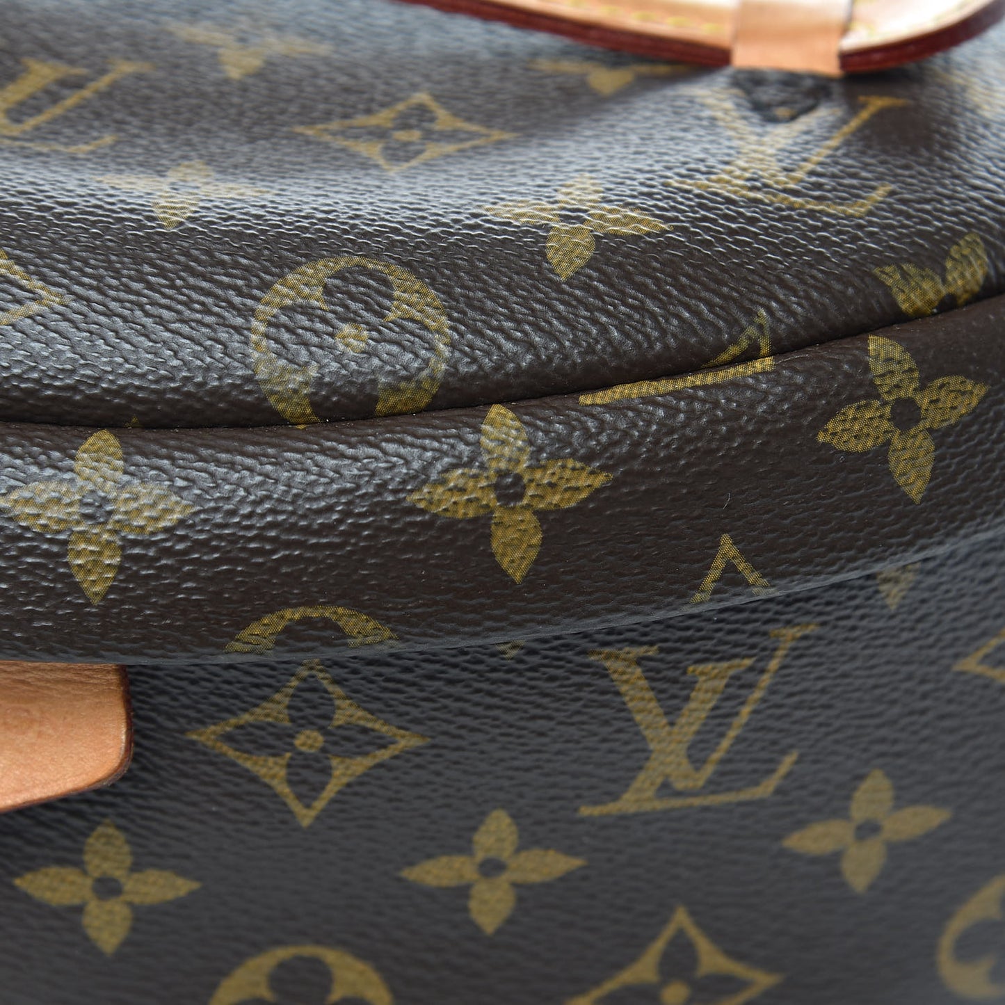 Monogram Bumbag