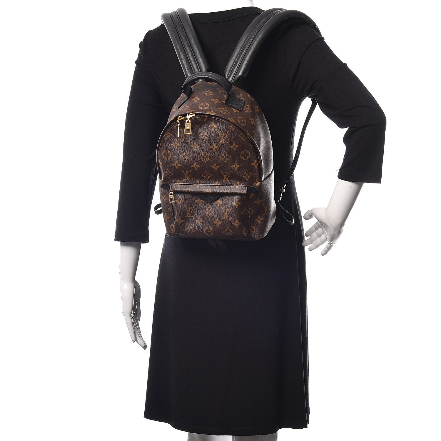 Louis Vuitton Monogram Palm Springs Backpack PM 2 of 10