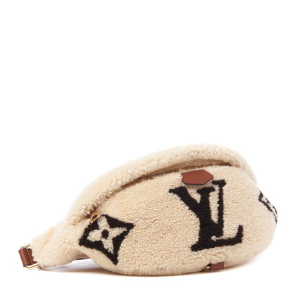 Louis Vuitton Monogram Teddy Bumbag 6 of 12