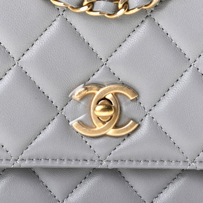 Chanel Lambskin Quilted CC Pearl Crush Wallet on Chain WOC Grey 9 of 11